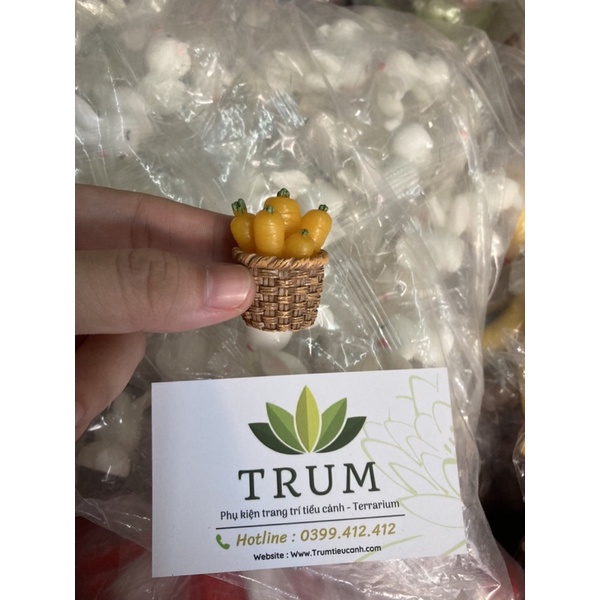 Giỏ Cà Rốt phụ kiện trang tí tiểu cảnh sen đá Terrarium
