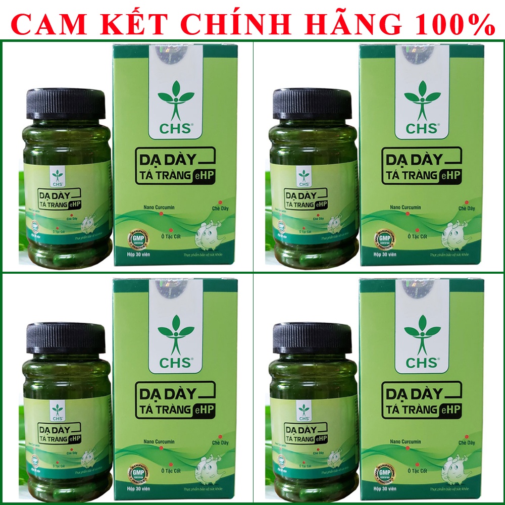 4 Dạ Dày Đại Tràng Rocori - Dạ Dày Tá Tràng eHP Kế Thừa Đề Tài Nghiên Cứu Của Học Viện Quân Y
