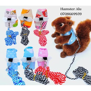 Dây yếm vải kèm dây dắt Sóc