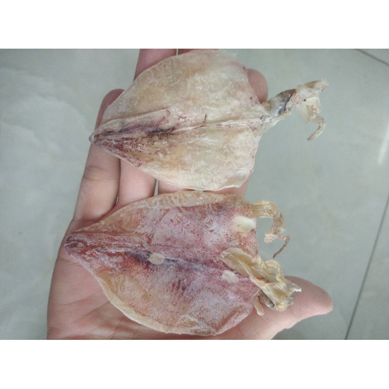 [Hình thật] 500g Khô mực đồng tiền Cà Mau, nướng-rim-nấu mì nấu súp ngọt ngon (hình thật) | BigBuy360 - bigbuy360.vn