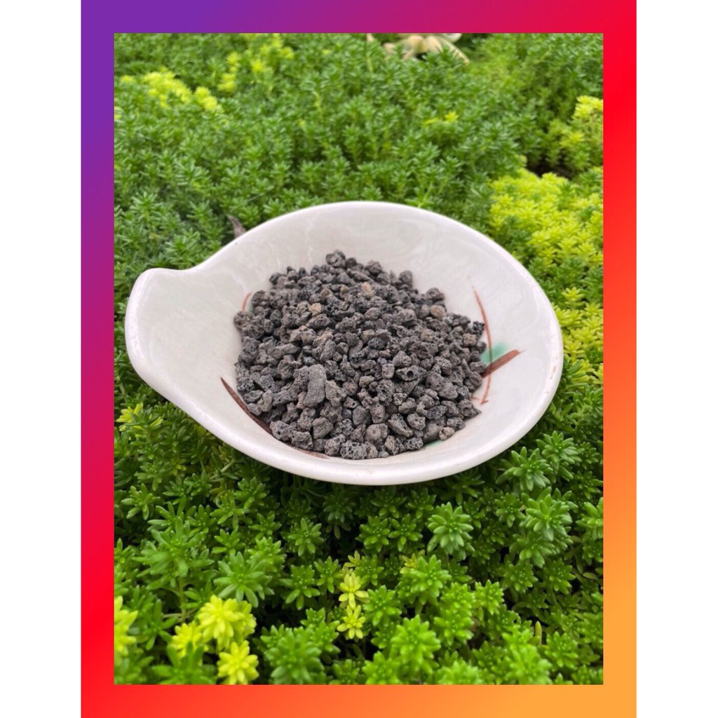 Đá nham thạch đen SONDA GARDEN (1kg) cho sen đá, xương rồng
