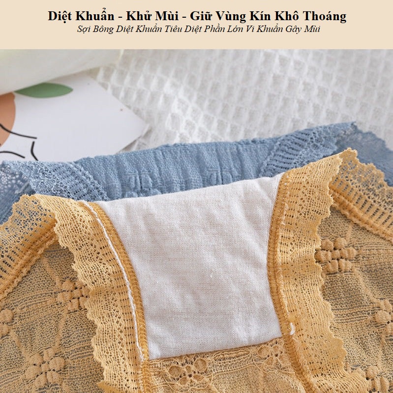 Quần Lót Nữ Thun Lạnh Ren Hoa Thủy Tán QL10
