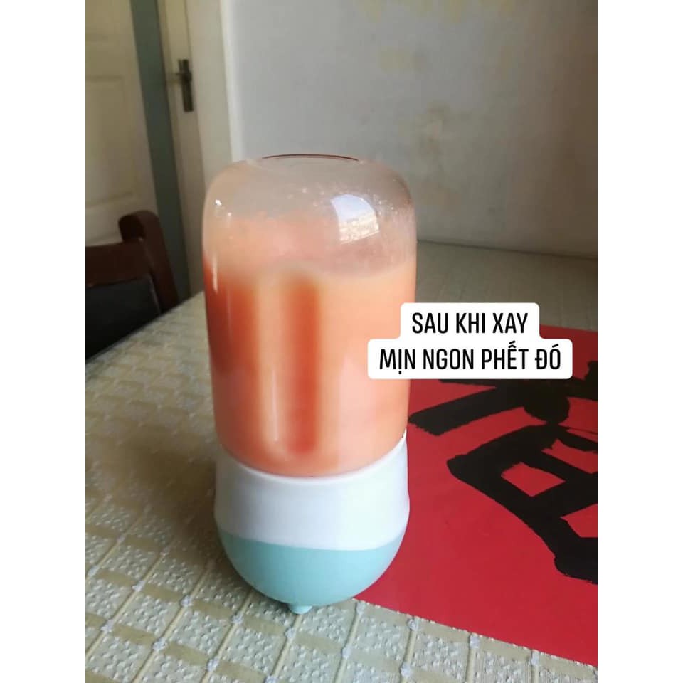 Máy xay sinh tố cầm tay mini sạc pin, Máy say sinh tố cầm tay đa năng mini 300ml