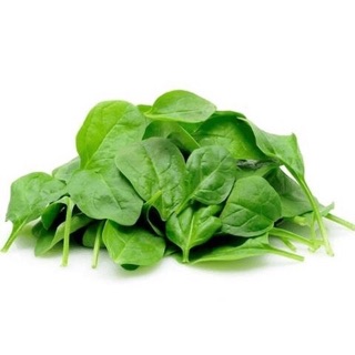Hạt giống mồng tơi Lá to ☘️