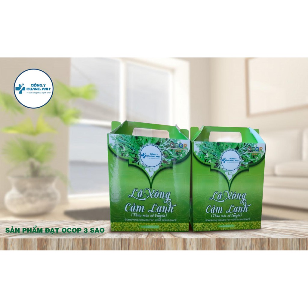 Tiết kiệm hơn ☘ FREESHIP ☘ Combo hộp 15 gói túi lọc (500gr) Lá xông hơi giải cảm thảo mộc