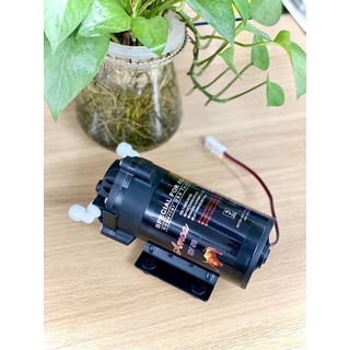 Bơm máy lọc nước - Bơm 24V Phun Sương