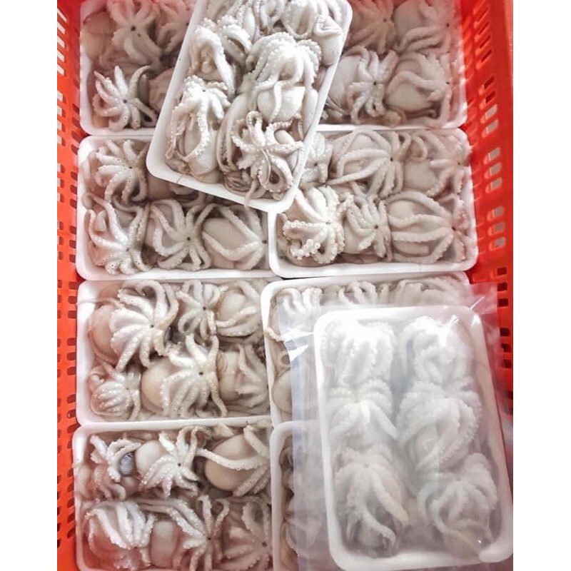 Bạch Tuộc Sữa Làm Sạch Khay 500gam