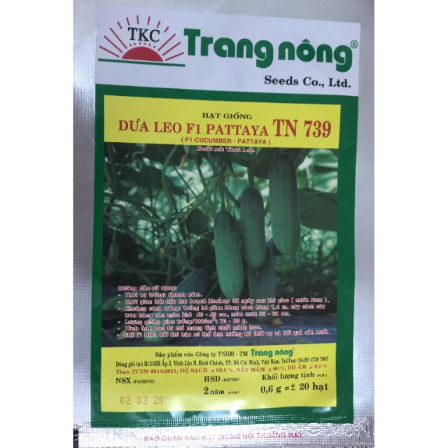 Hạt gióng dưa leo F1 Trang Nông Pattaya TN 739 Trang Nông