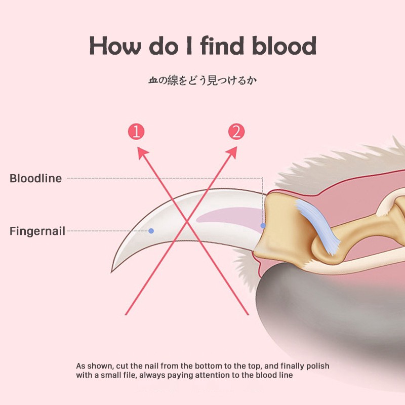 Dụng cụ bấm móng cho thú cưng có đèn LED tiện lợi