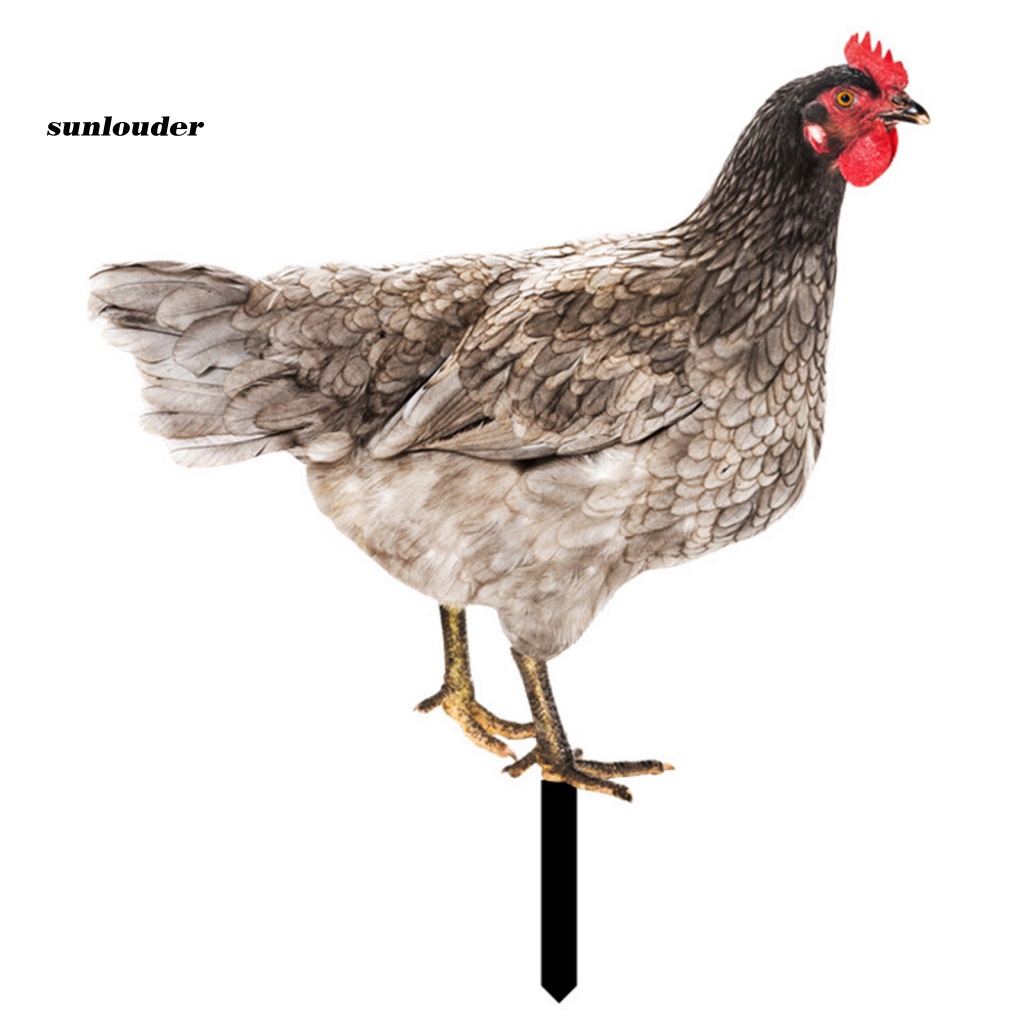 Mô Hình Con Gà Trống Trang Trí Sân Vườn
