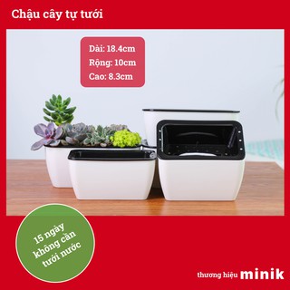 Chậu nhựa trồng cây tự dưỡng MINIK, trồng sen đá , 2 lớp tự tưới thông minh, size 18.5 x 10 x 8.5cm