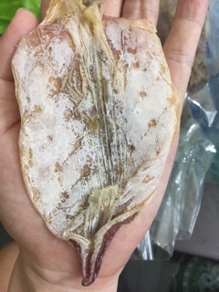 Mực câu khô Cát Bà