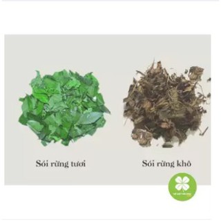 Cây sói rừng (1kg khô) - LCS061