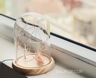Đèn chụp Thuỷ Tinh / Firefly Light / Đèn trang trí
