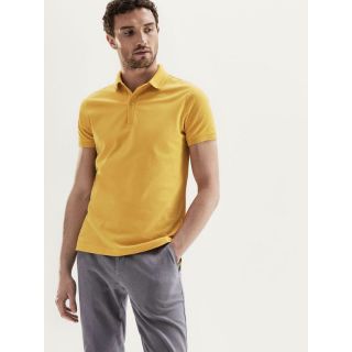 Áo Polo Massimo Duti dư xịn
