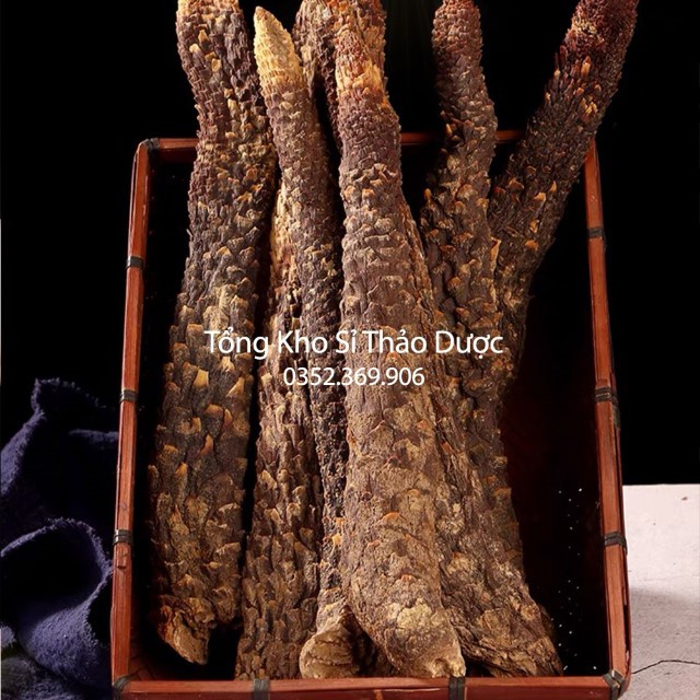 Nhục Thung Dung 100g
