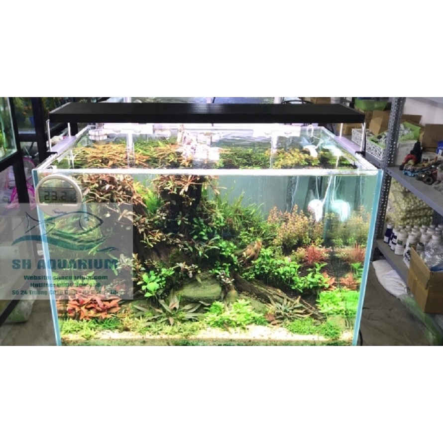 ĐÈN CHIHIROS WRGB2 45CM