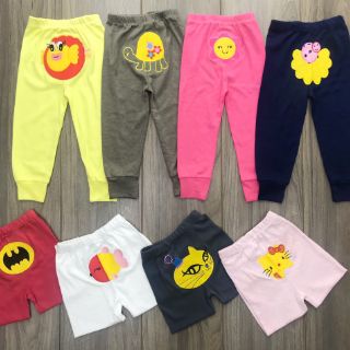 Combo quần chục mông thú cho bé