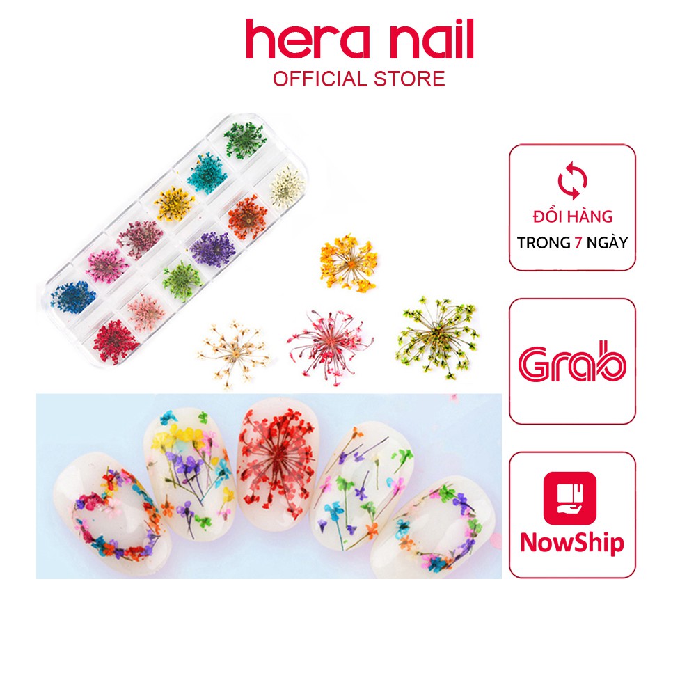 Hoa khô nail trang trí móng cánh nhỏ 12 màu