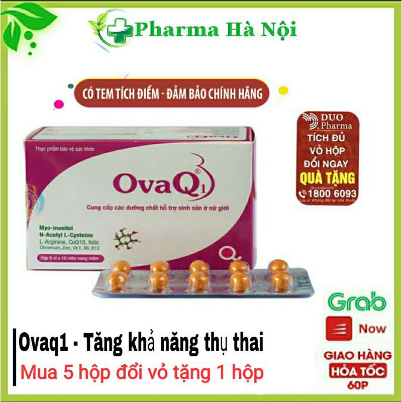 OVAQ1 - HỖ TRỢ MANG THAI NHANH HƠN [CAM KẾT CHÍNH HÃNG]