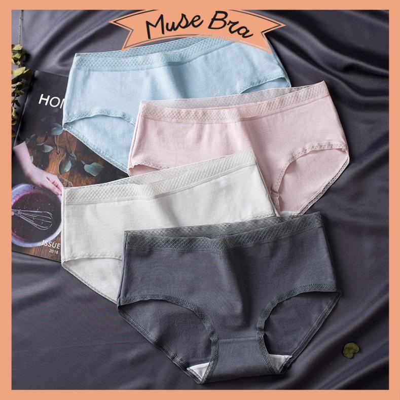 [Giá sỉ] Quần Lót Cao Cấp Cotton Cạp Lưới ( 1 quần)