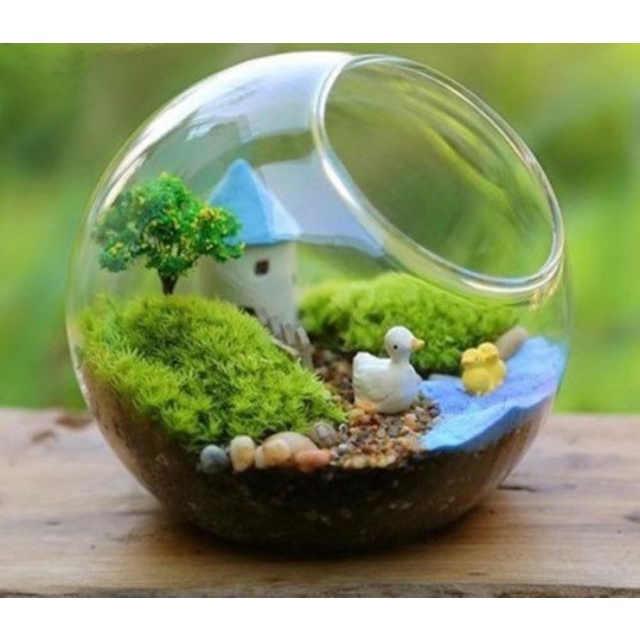 200g Cát màu trang trí bình Terrarium giả nước biển....