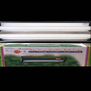 Mág đèn đôi 2 bóng Benxiang 70cm