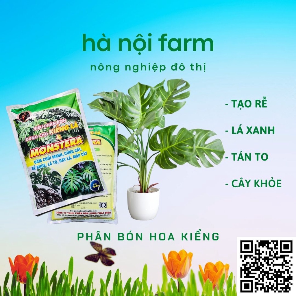 Siêu Phân dùng cho Kiểng Lá & Monstera 700gr bóng lá, xanh lá, dày lá, đâm trồi mạnh, rễ khỏe, mập cây