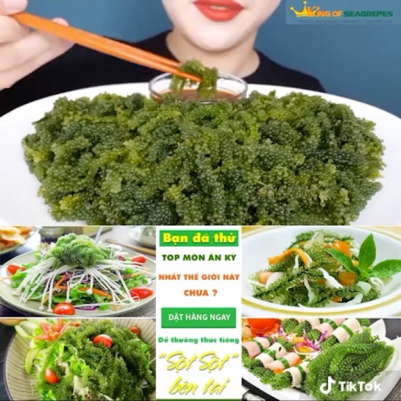 Rong nho Green Food cao cấp nở ra rong nho tươi Organic Hàng công ty check mã vạch