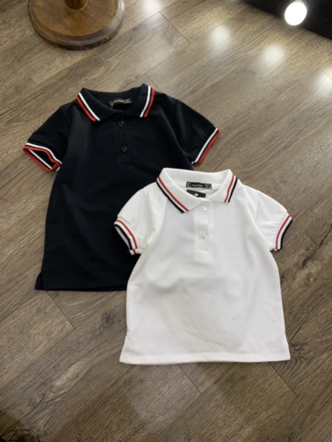 Áo thun Polo GẤU 194 viền phối Unisex vải cá sấu Poly co dãn 4 chiều dày dặn form gerular fit