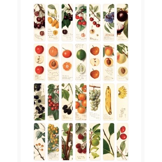 Bộ bookmark 28 miếng Tả Bí Lù Store