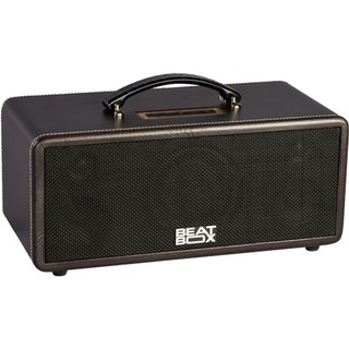 Dàn Âm Thanh Di Động ACNOS KS361MS
