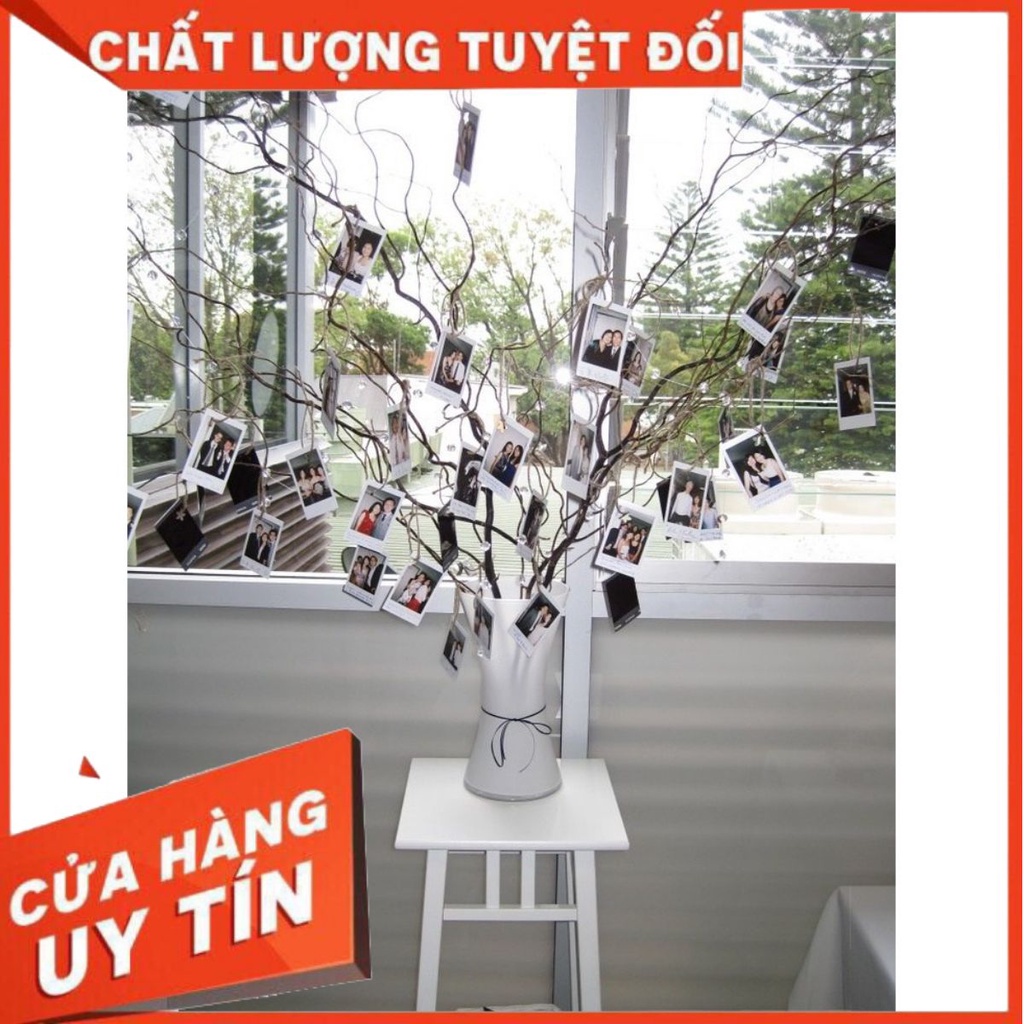 Combo in 50 tấm ảnh ép lụa tặng 50 kẹp treo ảnh + dây