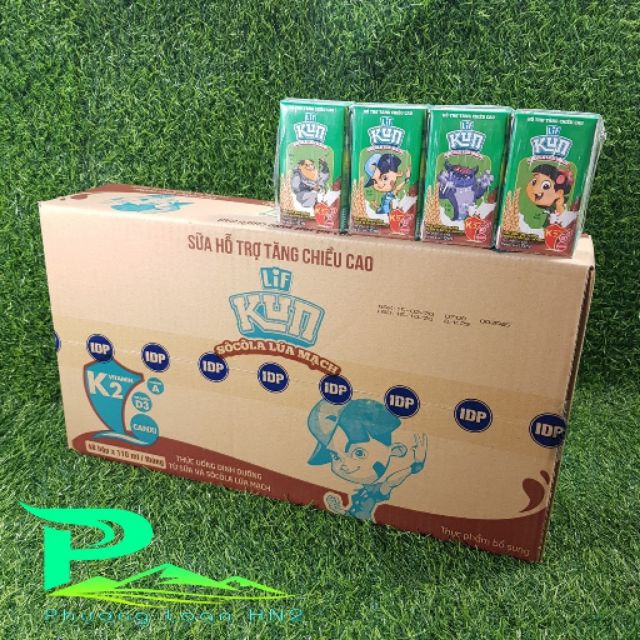 Sữa Kun Socola lúa mạch 110ml