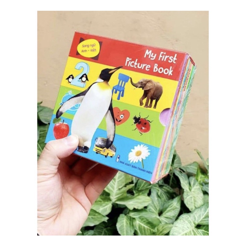 Bộ 10 tập thư viện hình ảnh đầu tiên cho bé