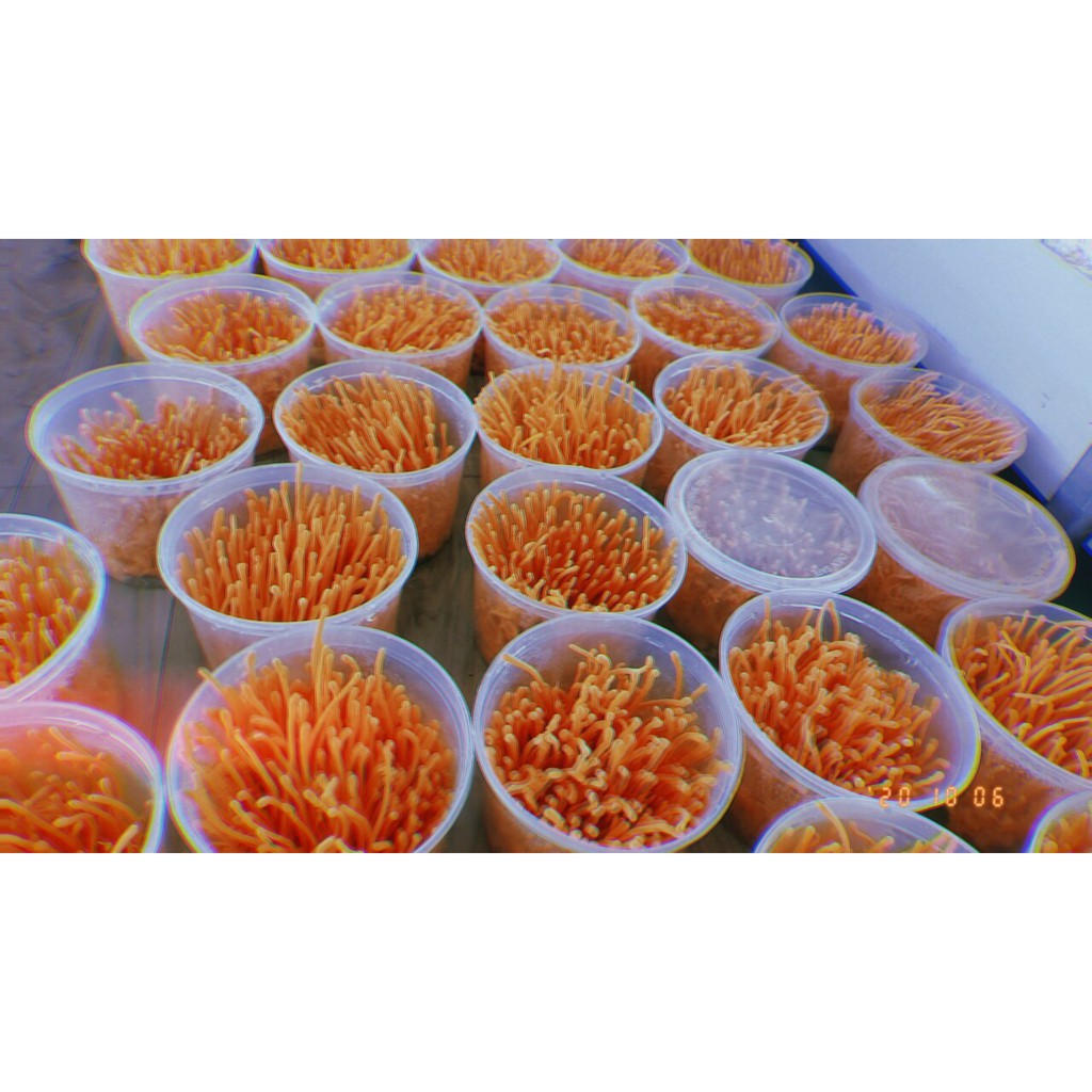 Nấm Đông trùng hạ thảo &quot;Cordyceps&quot; Sấy thăng hoa (Theo Đề án cấp nhà nước), tăng cường sức đề kháng, mỡ máu, huyết áp