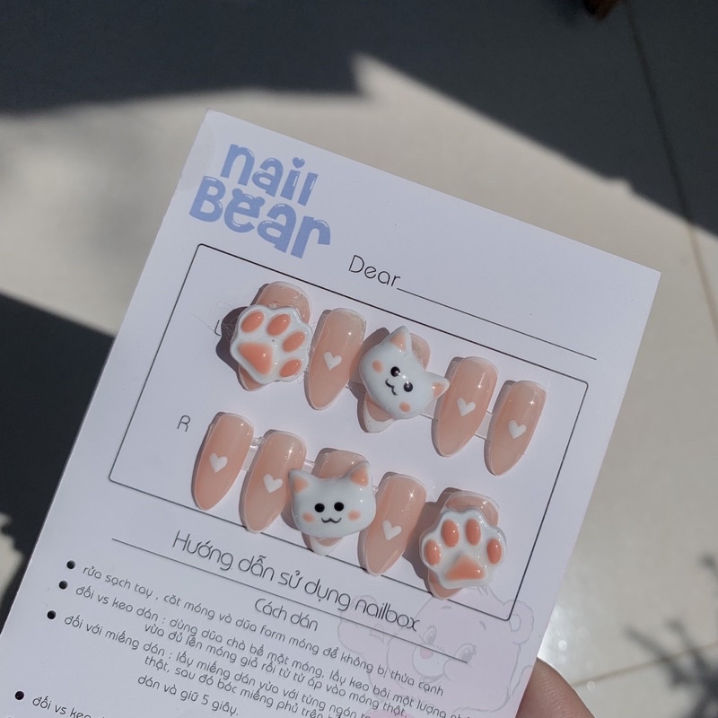 Nail box meo meo