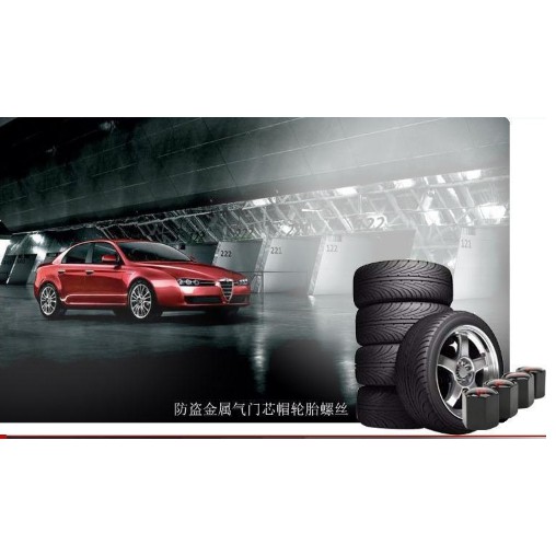 Ốc chụp chân van oto - xe máy giá 1 đôi