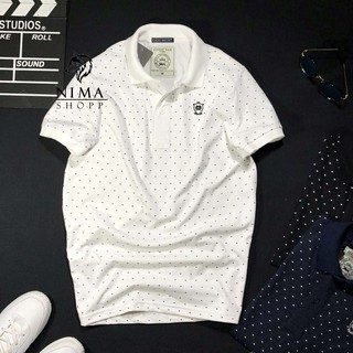 Áo thun nam có cổ, vải cotton, họa tiết chchấm bi cao cấp NMP051