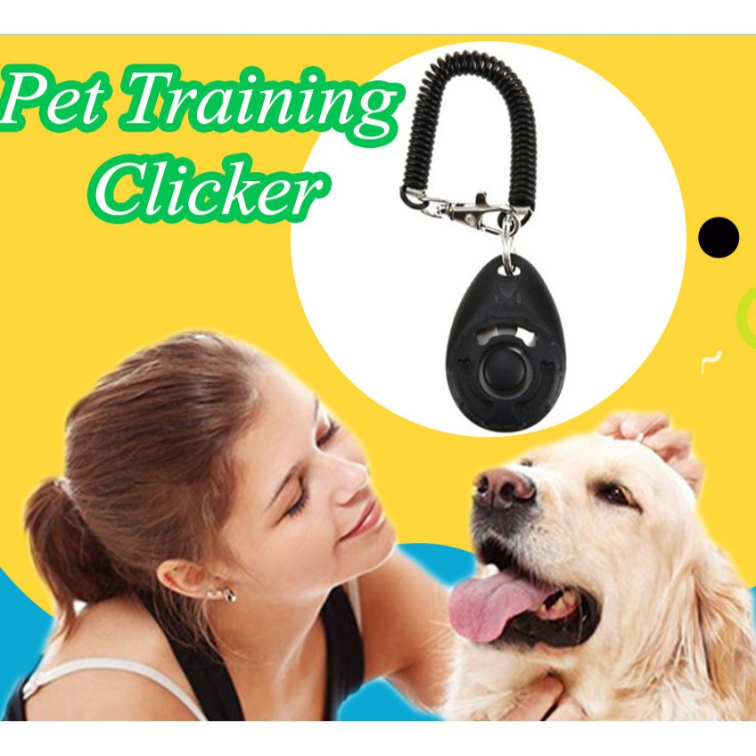 Còi huấn luyện thú cưng