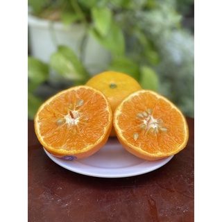 Cam-vàng-úc(1kg)