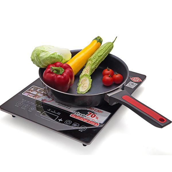 BẾP TỪ ELMICH ICE-7146