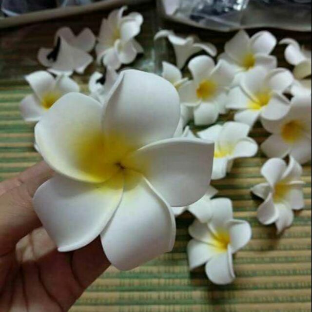 Combo 10 bông hoa đại cài tóc
