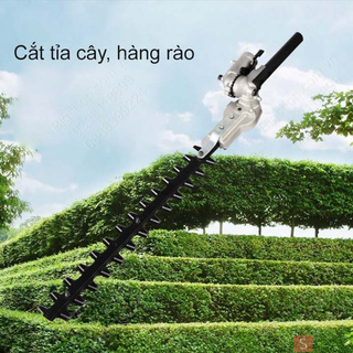 Đầu cắt tỉa cành trên cao, cắt tỉa hàng rào, cắt tỉa cây, dùng gắn vào máy cắt cỏ
