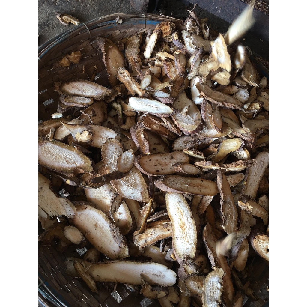 HÀ THỦ Ô TRẮNG KHÔ