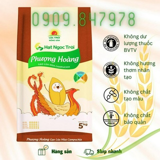 Gạo Hạt Ngọc Trời Phượng Hoàng 5kg - Bán lẻ giá sỉ