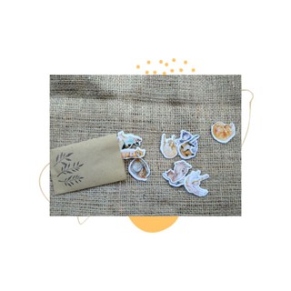 Hình Dán Tạp Chí Mèo Kawaii