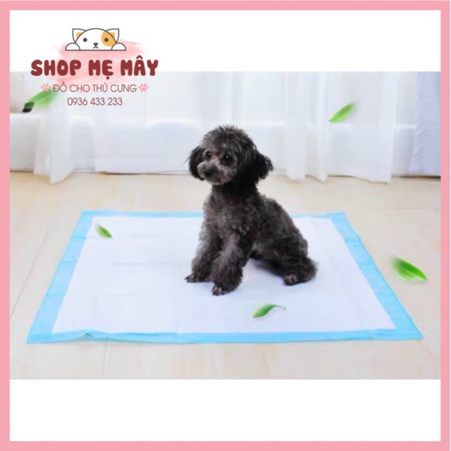 TẤM LÓT VỆ SINH CHÓ MÈO