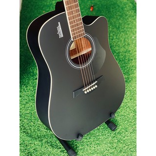 Guitar Rosen G11 (Chính Hãng 100%)