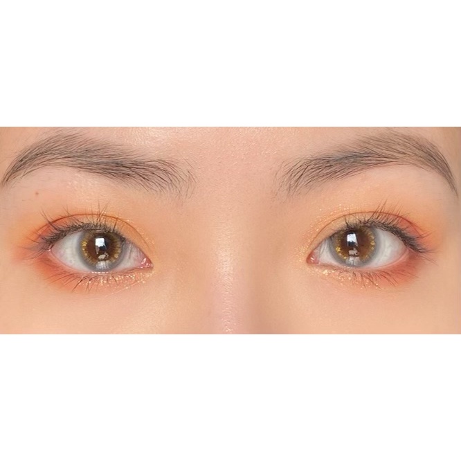 Kính áp tròng/Lens nhũ chân mèo Miew Brown/Gray Lens Twinkle